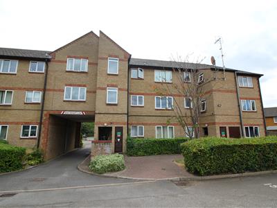 Picture 9